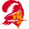 Tampa Bay Buccaneers logo - NBA